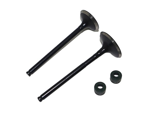 KIT DE VALVULAS (SET X 2) HONDA CBF 150,XR 150