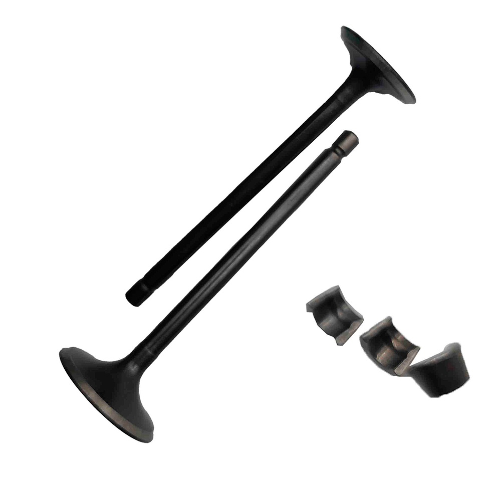 VALVULA ADM/ESC YF1 (ANTI MAG-NG) CG125